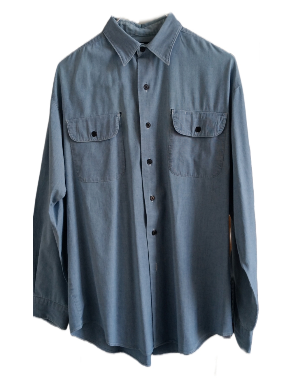 Polo by Ralph Lauren Blue Button Down Shirt